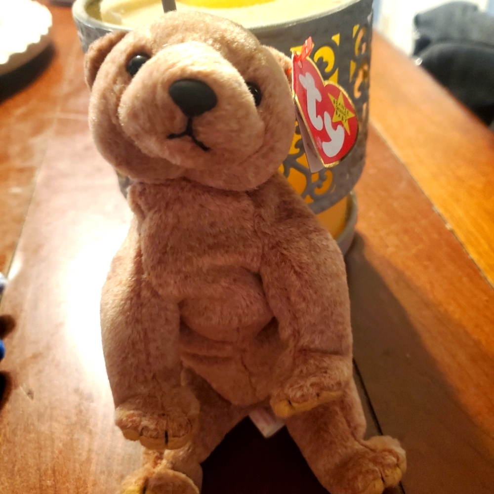 Rare retired ty beanie baby